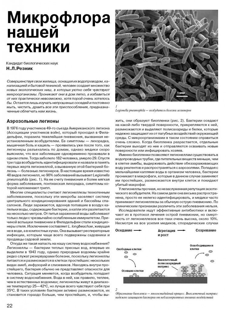 s20160222 microflora pdf.jpg