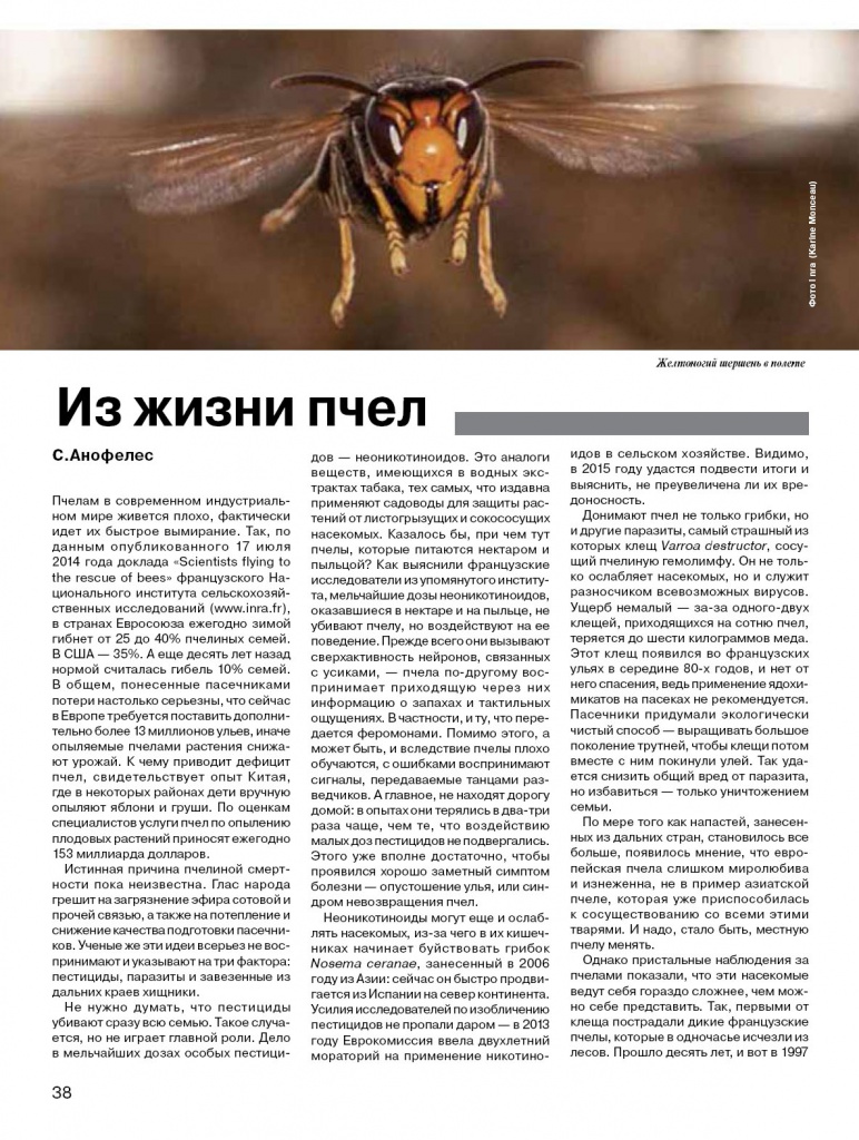 s20140938 bees pdf.jpg